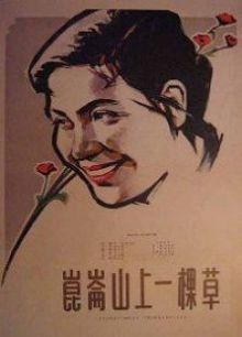 昆仑山上一棵草