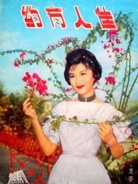 佳人有约1960