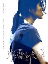 淡蓝琥珀无障碍版