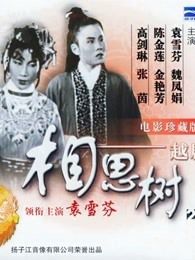 相思树1950