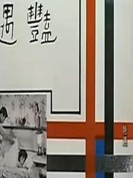 艳遇1965
