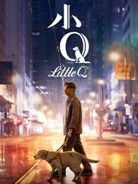 小Q视障解说版