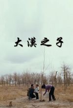 大漠之子