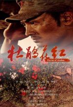 杜鹃花红