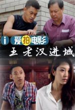 王老汉进城