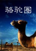 骆驼圈