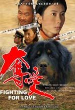 夺爱