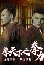 拳天下之拳力
