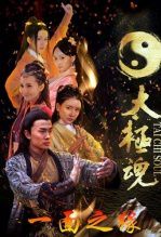 太极魂之一面之缘