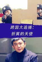 跨国大追捕折翼的天使