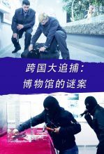 跨国大追捕博物馆的谜案