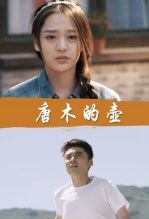唐木的壶