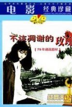 不该凋谢的玫瑰花