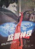 猛警神探