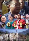 小锅盖当官