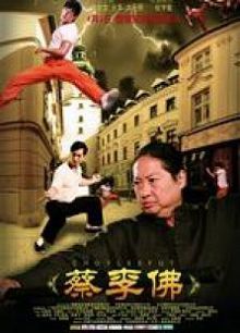 蔡李佛极限拳速