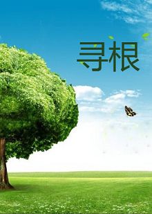 寻根