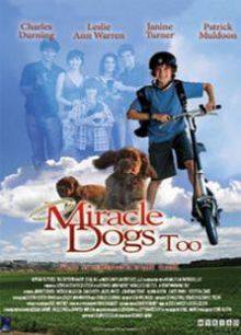 天降神犬2