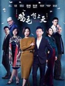 鸡毛飞上天DVD版
