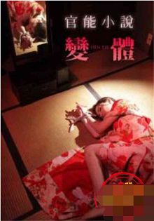 官能小说变体