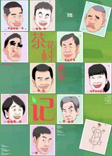 茶花村选举记