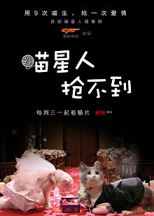 喵星人抢不到