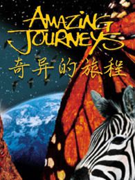 奇异的旅程