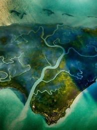 鸟瞰世界第六季