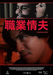 职业情夫