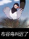 布谷鸟叫迟了