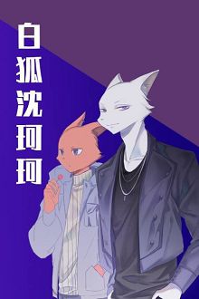 白狐沈珂珂