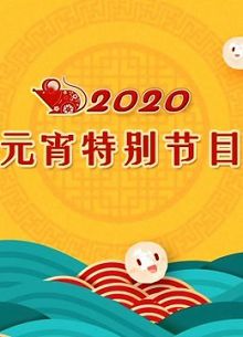 2020央视元宵特别节目