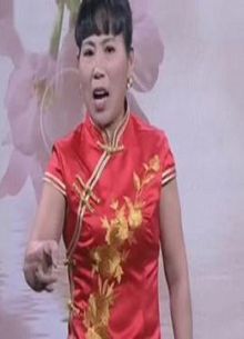 河南坠子刘公传奇3胡银花