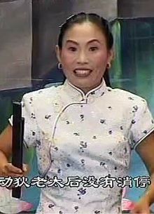 河南坠子恶媳妇打婆婆胡银花井照鑫