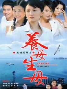 真情无限之养母生母