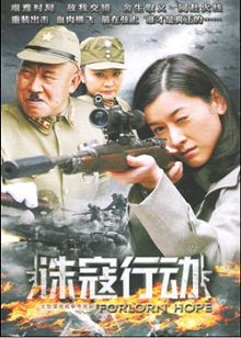 诛寇行动