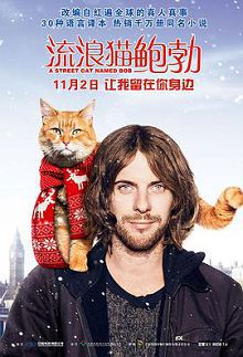 流浪猫鲍勃普通话版
