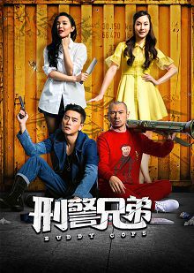 刑警兄弟普通话版