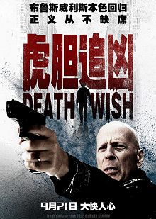 虎胆追凶普通话版