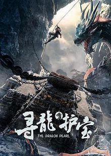 寻龙护宝