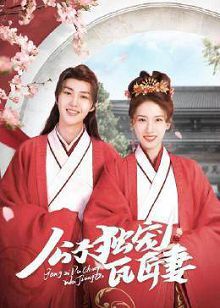 公子独宠瓦匠妻