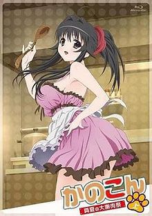 我的狐仙女友真夏的大谢肉祭