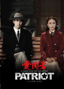 爱国者DVD版