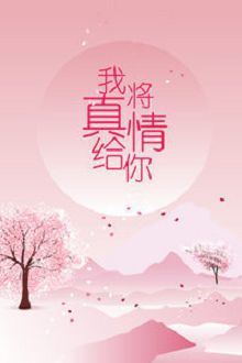 我将真情给你