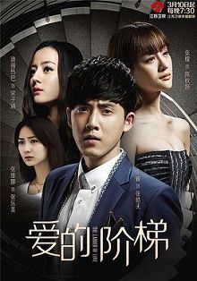 爱的阶梯DVD版