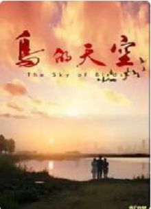 鸟的天空