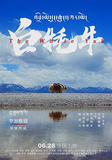 白牦牛藏语