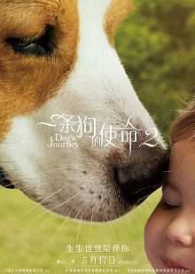 一条狗的使命2普通话版