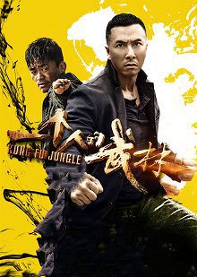 一个人的武林普通话版
