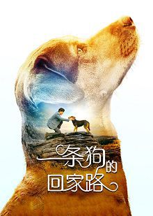 一条狗的回家路普通话版